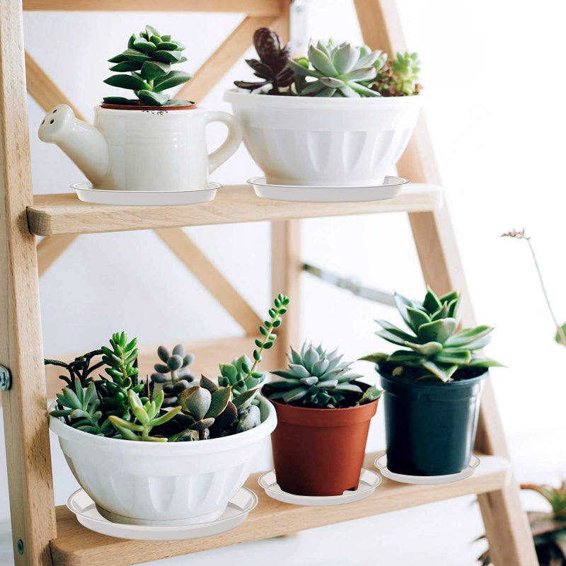 VUWEZ 6 Pack of Plant Saucer 8 Inch, 8 inch Plant Saucer Round, Plastic Flower Plant Trays for Pots, Plant Saucers for Indoors 8"", Plant Pot Saucers, Planter Tray for Planter 6-8"" (8"", White) - Image 5